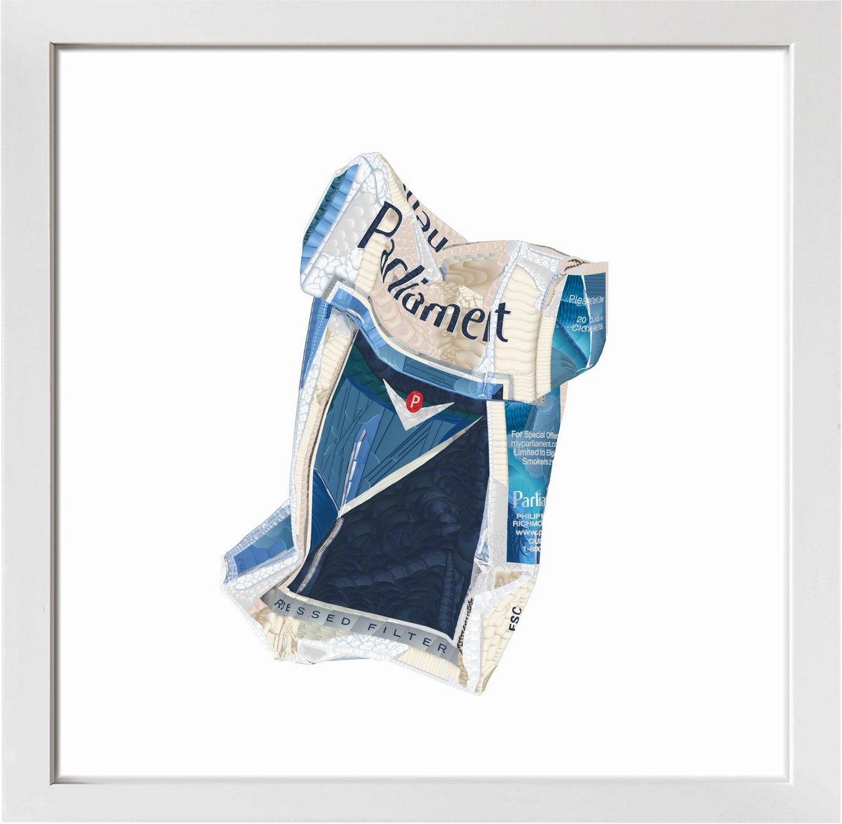 But It Looks So Cool — framed artwork